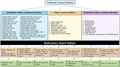 Clinical evidence and potential mechanisms of traditional Chinese medicine for refractory heart failure: a literature review and perspectives
